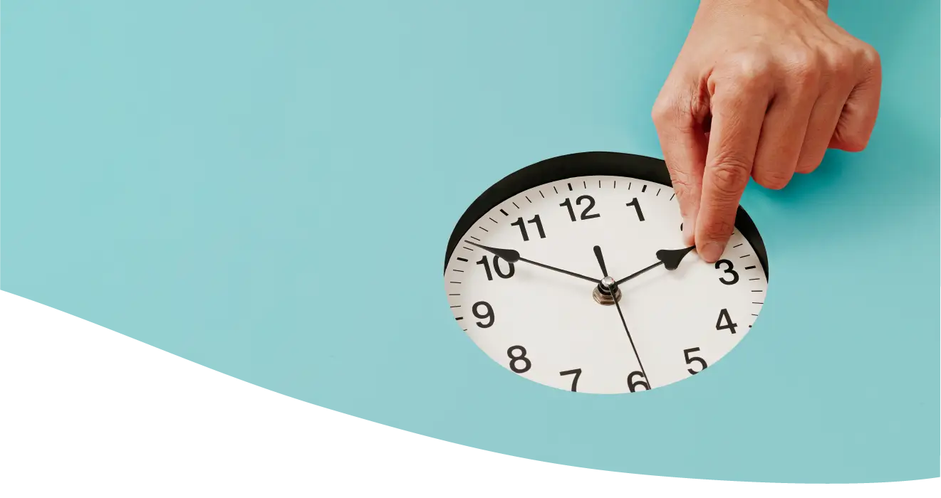 Setting up Daylight Saving in Protege
