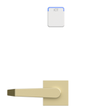 Protege Cartridge Mortise Wireless Lock