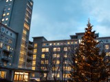 Landspitali hospital forecourt at dusk with with tree decorated with lights